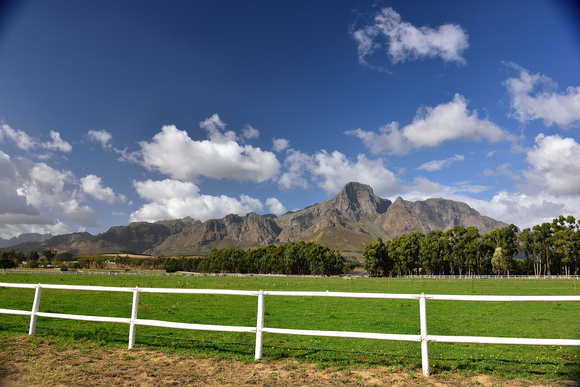 Restaurant på Boschendal